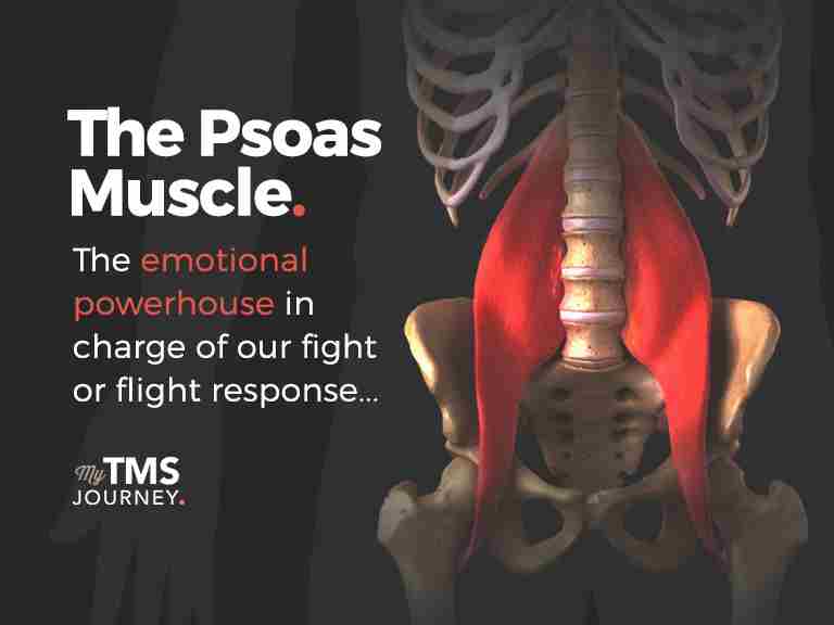 The role of the psoas muscle in common TMS symptoms
